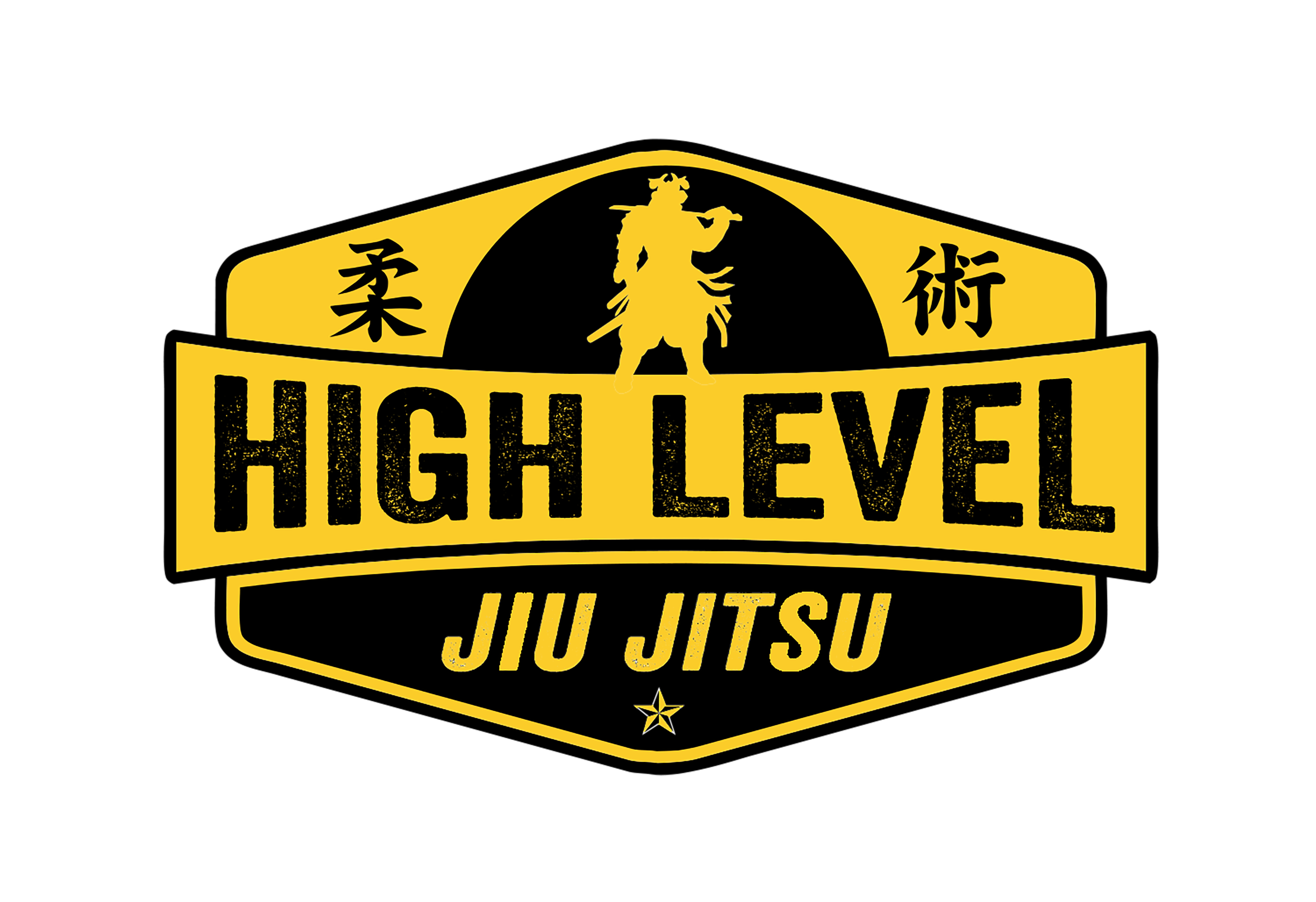 Levels of jiu jitsu online